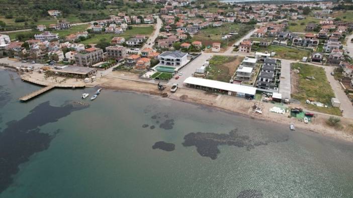 Ayvalık Belediyesi: Sahiller ve plajlar yaz sezonuna hazır