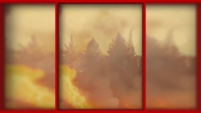 Orman Genel Müdürlüğü: Yangınlara karşı tedbirli olun