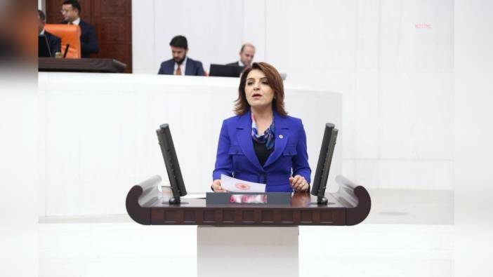 CHP Mersin Milletvekili Kış: Cumhurbaşkanlığı personel sayısını açıklasın