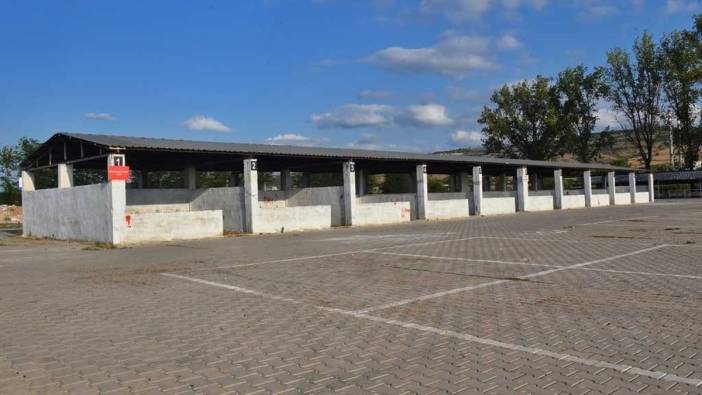 Yenişehir'de şap hastalığı: Hayvan pazarı kapatıldı