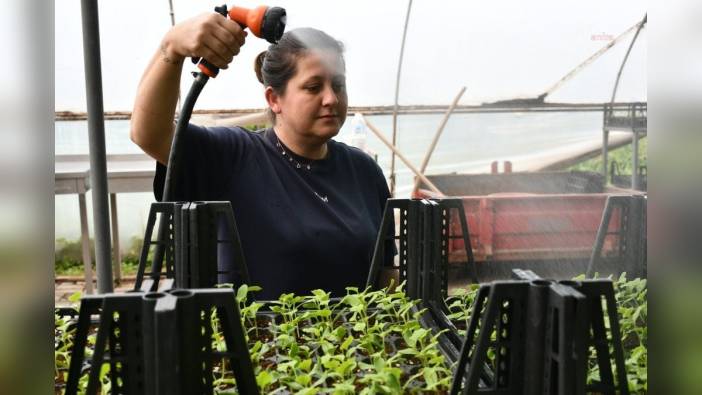 Lüleburgaz Belediyesi'nden vatandaşlara ücretsiz fide dağıtımı