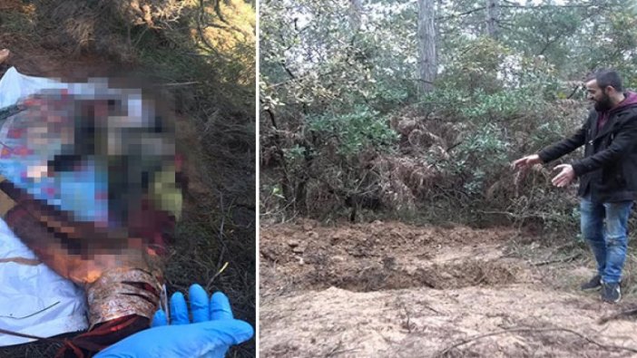 Arnavutköy'de ormanda vahşet; battaniyeye sarılı kadın cesedi bulundu