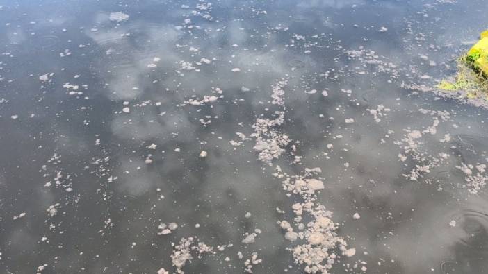 Yalova'da deniz kirliliğine 4 milyon lira ceza