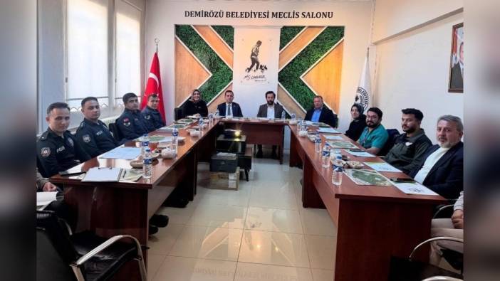 Demirözü'nde ilk kez Kuşburnu Çiçeği Festivali düzenlenecek