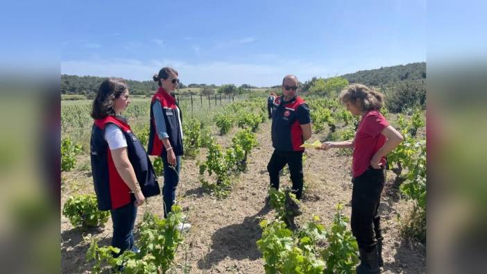 Bozcaada'da organik tarım denetimleri yapıldı