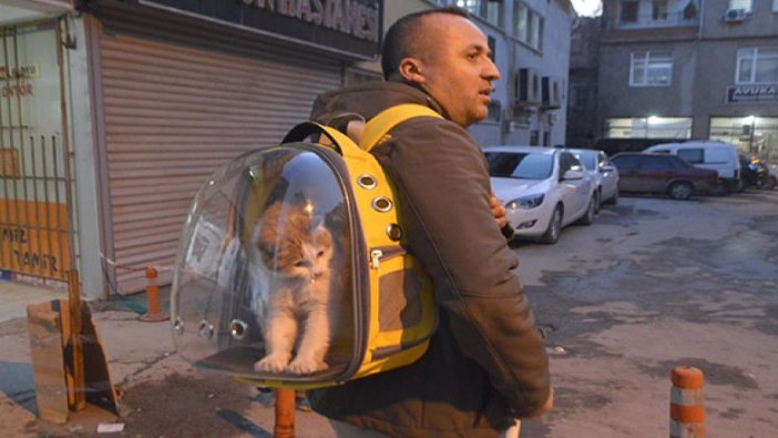 Sahiplendiği sokak kedisini sırt çantasında gezdiriyor