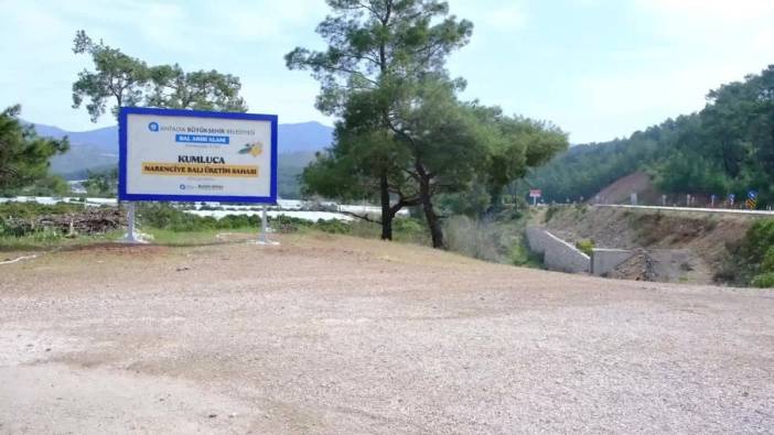 Antalya Büyükşehir Belediyesi: Narenciye balı için coğrafi işaret tescili başlıyor