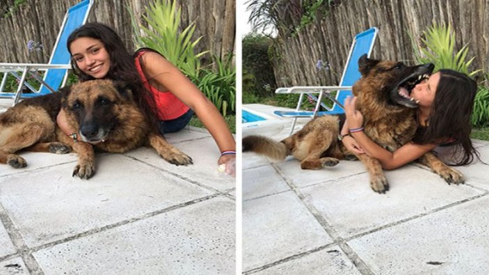 Beraber fotoğraf çektirmek istediği köpek yüzünü ısırdı