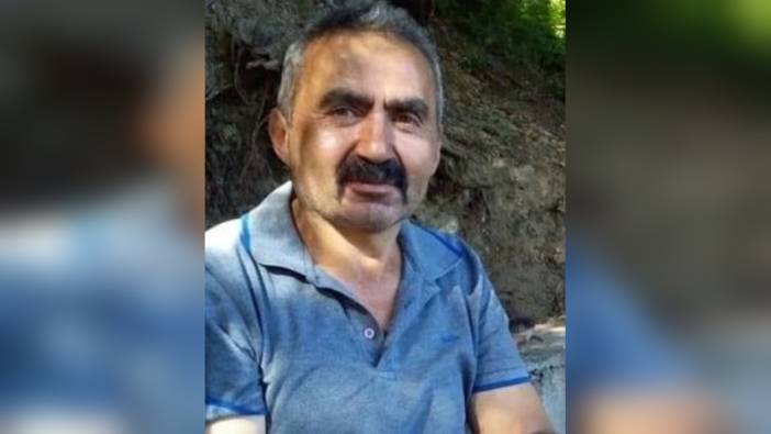 Bolu'da ağaç kesim işçisi Durmuş Gülen, devrilen ağacın altında kalarak hayatını kaybetti