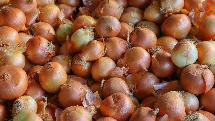 Kayısı ve kuru soğan üretimi 'güldürdü', sarımsak ve Antep fıstığı 'üzdü'