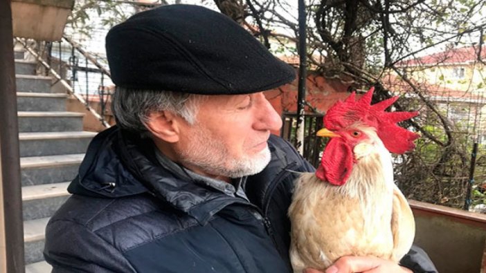 Postacıyı kovalayan "Horoz Hüsnü" ilgi odağı oldu