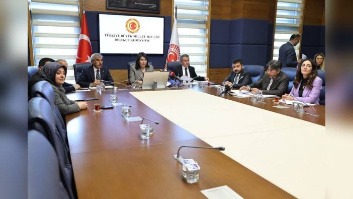 TBMM Dilekçe Komisyonu Başkanı Karamık: 18 bin 949 başvuru geldi