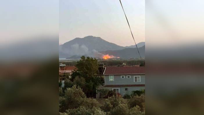 Köyceğiz'de sazlık alan yangını: Ekipler ormanlık alana sıçrama riskine karşı önlem aldı