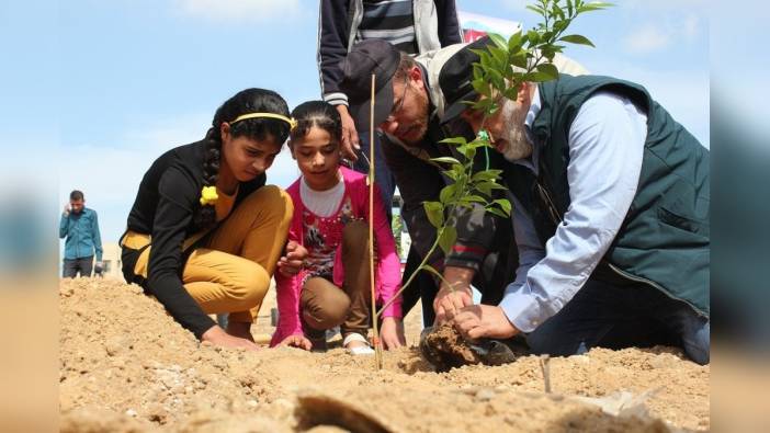 İHH'dan 'Her yetime bir fidan' projesi: 22 ilde 160 bin fidan toprakla buluştu