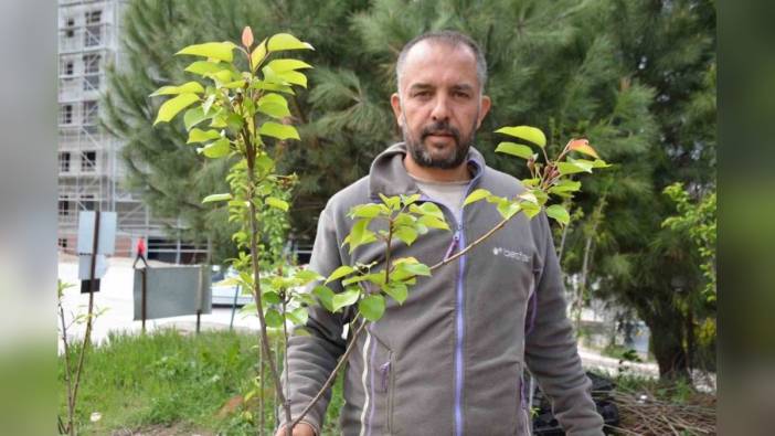 Bilecik'te üç kuşaktır fidancılık: Dedemden, babamdan öğrendim