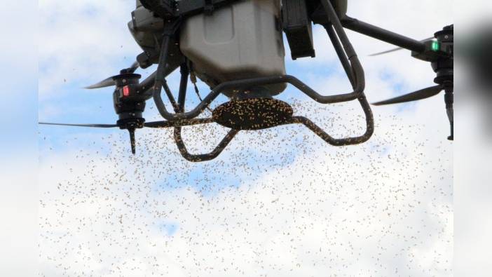 Edirne'de çeltik ekim mesaisi: Dronla ekim kolaylığı