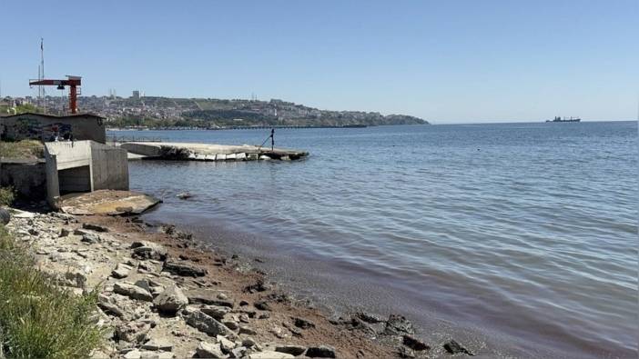 Tekirdağ sahili kırmızı yosunlarla kaplandı