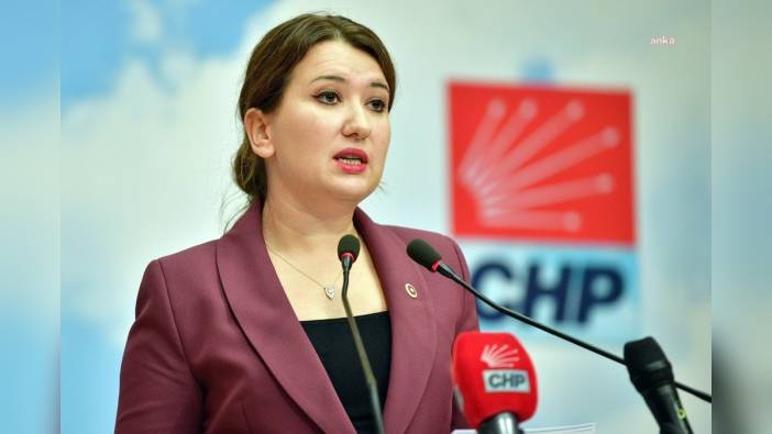 Gökçe Gökçen: Tüm gençler tahliye edilene dek mücadelemiz sürecek