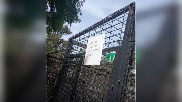 Bursa'da hayvan barınağı müdürü görevden alındı: Hayvanseverlerden tepki