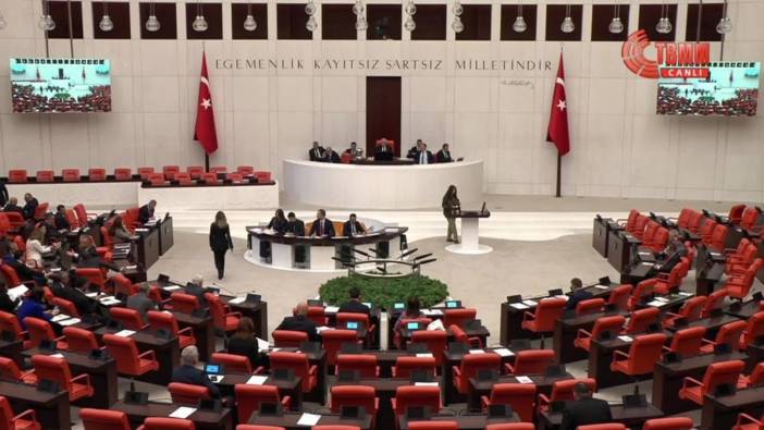 Meclis'te engelli bireyler için araştırma komisyonu kuruldu: Kalıcı çözümler üretilmesi hedefleniyor