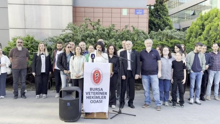 Bursa Veteriner Hekimleri Odası Başkanı Baysal: Hayvan katliamı iddialarının gerçeği yansıtmadığını umuyoruz