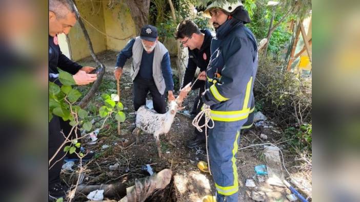 Yalova'da keçi, logar kuyusundan kurtarıldı