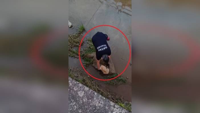 Payas'ta kedi kurtarma operasyonu