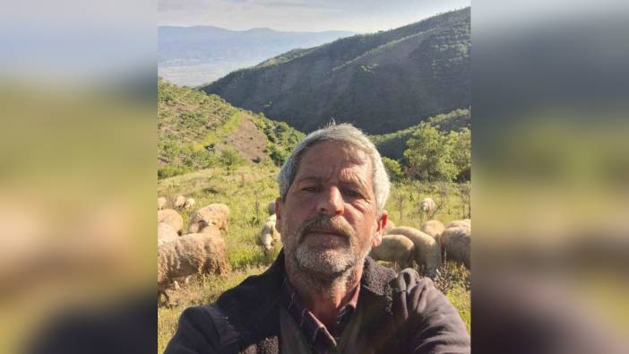 Aydın'da yayla göçü gecikmeli başladı: Çoban Ersun Kılınç, 'havalar anca ısınmaya başladı' dedi