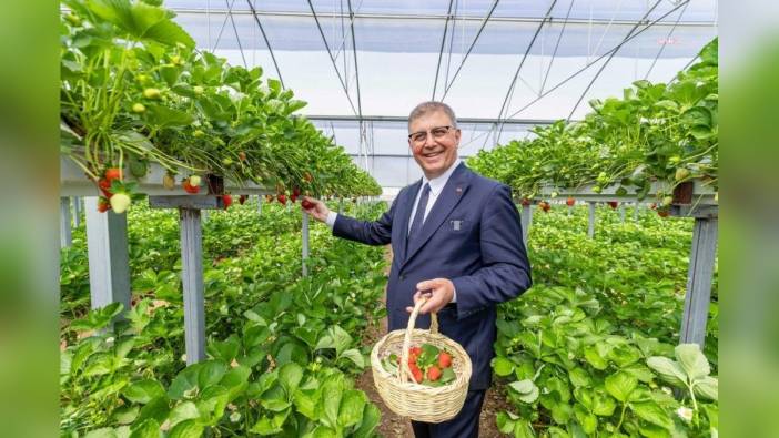 İzmir Büyükşehir Belediyesi'nden çiftçiye destek: Yahşibey Sulama Göleti İletim Hattı hizmete açıldı