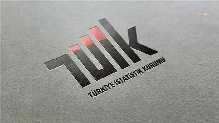 TÜİK 2024 gençlik istatistiklerini açıkladı: Genç nüfus oranı yüzde 14,9