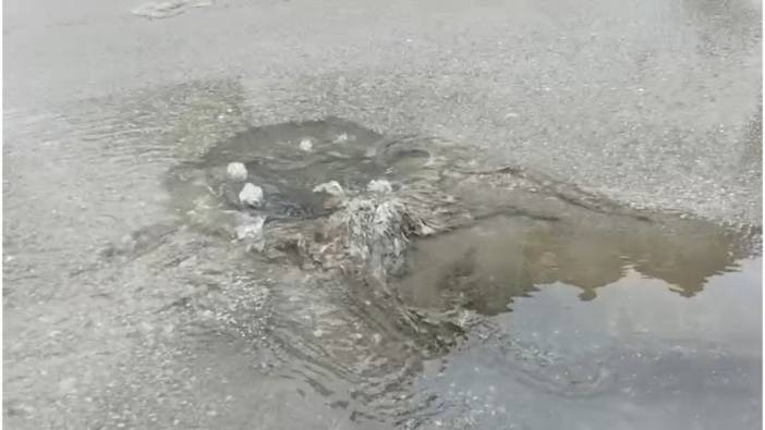 Çevre, Şehircilik ve İklim Değişikliği Bakanlığı: Çınarcık Belediyesi'ne 1 milyon 337 bin TL ceza kesti