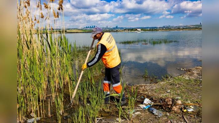 Gölbaşı Belediyesi'nden Mogan Gölü’ne çevre temizliği: Doğal yaşam korunuyor