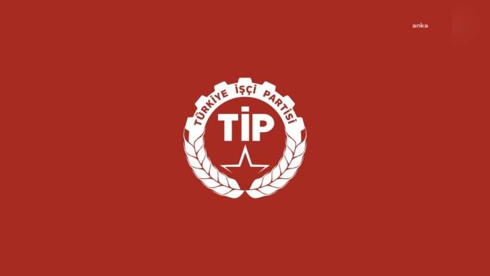 TİP'ten yargı eleştirisi: Berkin Elvan davasında karar onandı