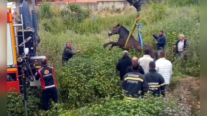 Edirne'de at kurtarma operasyonu: İtfaiye ve vinç yardımıyla çukurdan çıkarıldı