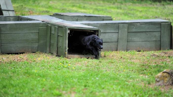 DHA: Haber ajansı duyurusu