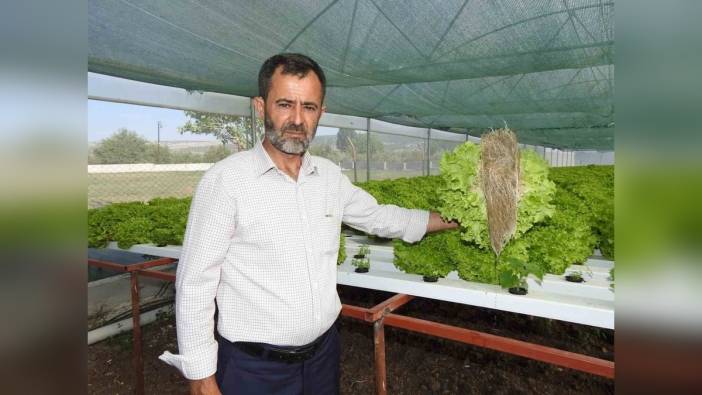 Gaziantep'te topraksız tarım: Marul üretim süresi yarıya indi