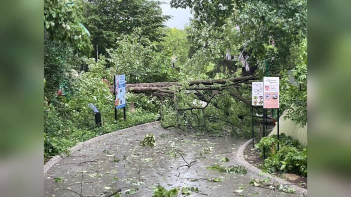 St. Louis'te Fırtına Felaketi: Beş kişi hayatını kaybetti, binlerce yapı hasar gördü