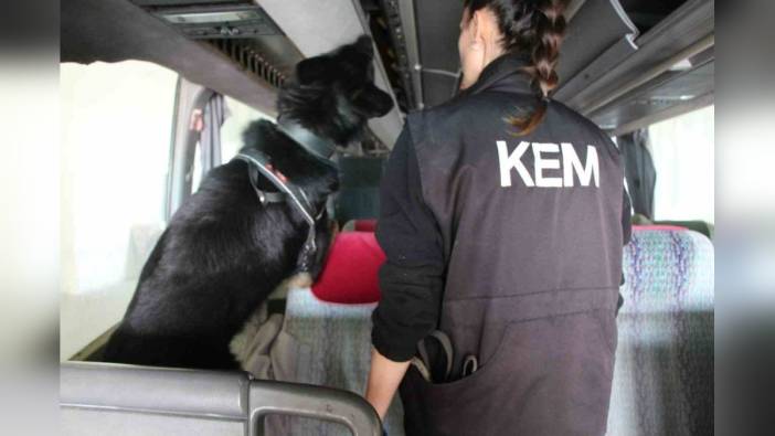 Kapıkule Sınır Kapısı'nda 77 kilo ecstacy ele geçirildi: Otobüs şoförü tutuklandı