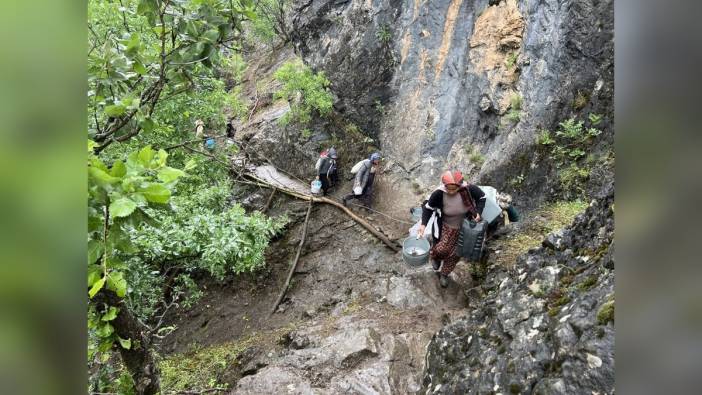 Hakkari'de berivanların zorlu yayla mesaisi: Süt sağmak için engebeli yollardan geçiyorlar