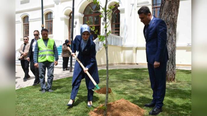 Bakan Özdemir Göktaş, Bilecik Valiliği'nde fidan dikti