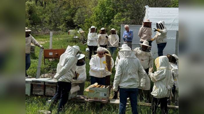 Bolu'da arıcılık kursu: Sektöre donanımlı arıcılar yetiştiriliyor
