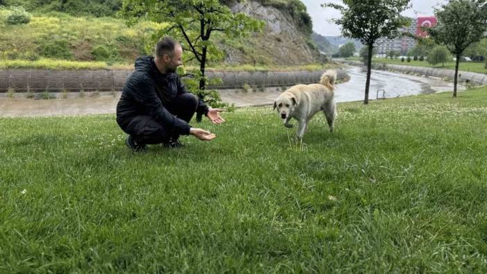 Sarıyer'de alışveriş merkezi paniği: Banka alarmını uyuyan köpek Beyaz tetikledi
