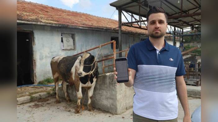 Hatay'da Besici Nuri Başak, Kurbanlık Tosun Alırken 200 Bin TL Dolandırıldı: 'Ava giderken avlandık'