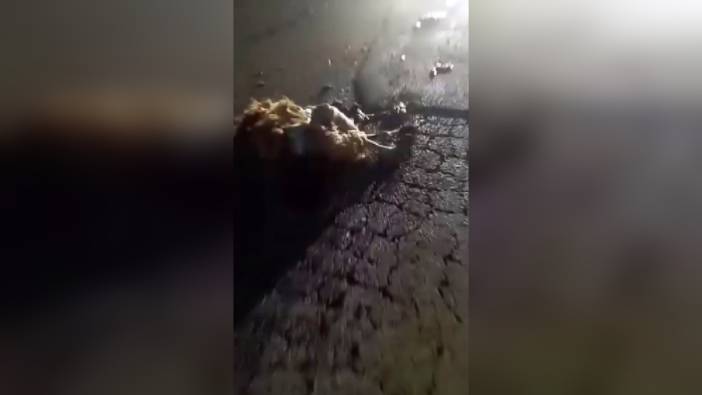 Reyhanlı'da trafik kazası: 10 küçükbaş hayvan telef oldu