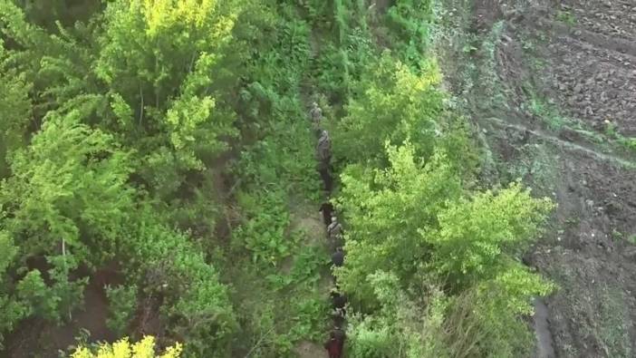 Diyarbakır Hevsel Bahçeleri’nde uyuşturucu operasyonu: 30 bin kök Hint keneviri ele geçirildi