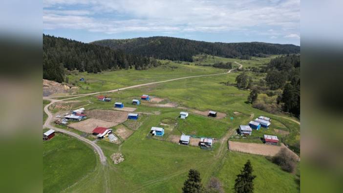 Uluyayla'da bahar güzelliği: Rengarenk evler ve yılkı atları