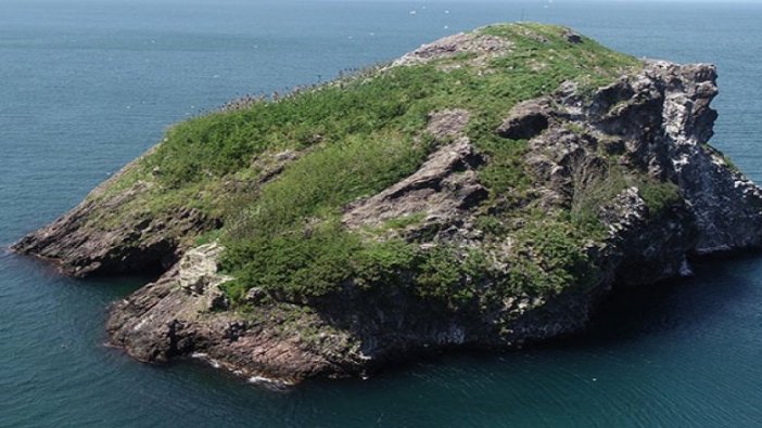 Hoynat Adası’na ziyaretçi akını
