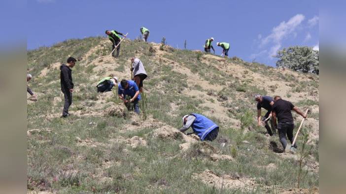 Sivas Belediyesi'nden vefa ormanı: 535 fidan toprakla buluştu