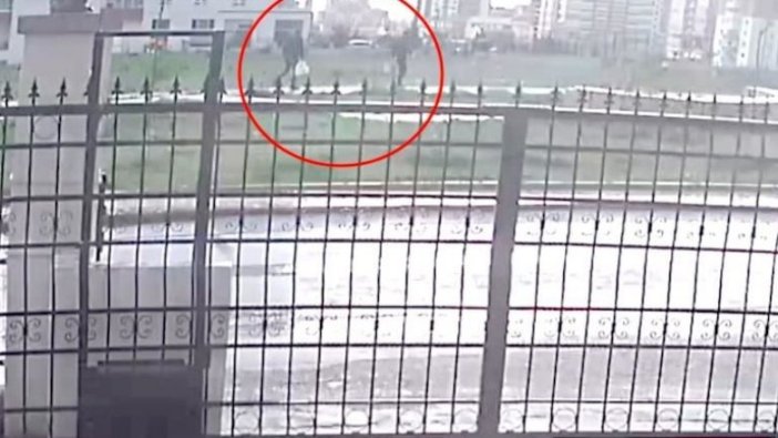 Batıkent'te sokak köpeklerinin öldürülmesine ilişkin davanın gerekçeli kararı açıklandı