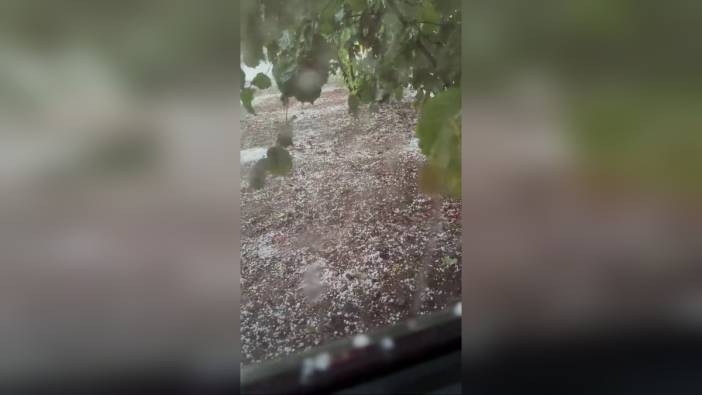 Sakarya'da fırtına, sağanak ve dolu etkili oldu: Fındık üreticileri endişeli